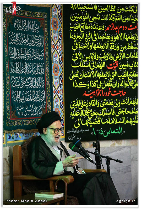 آیت الله سید محمد ضیاء آبادی