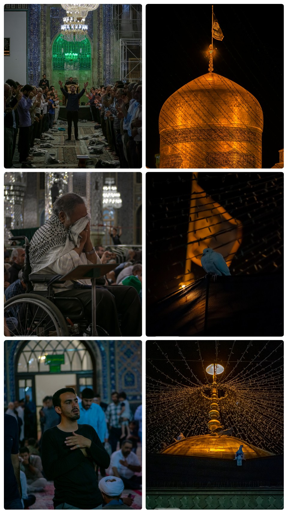 حرم رضوی در شب شهادت امام باقر+عکس