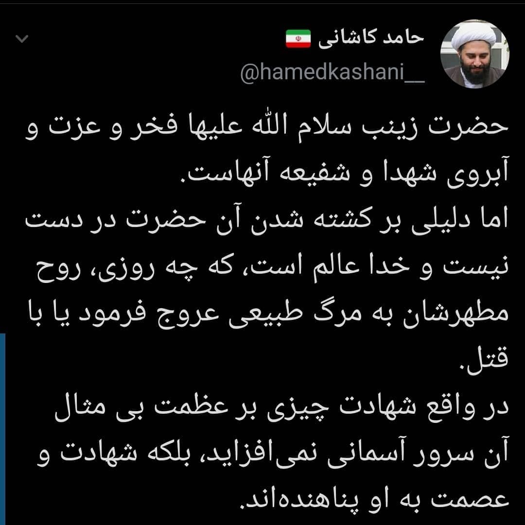 توئیت خواندنی حامد کاشانی درباره حضرت زینب(س)