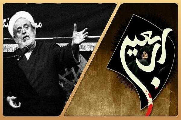 اربعین مسئله خاص سیدالشهداست و انبیا و ائمه اطهار اربعین ندارند